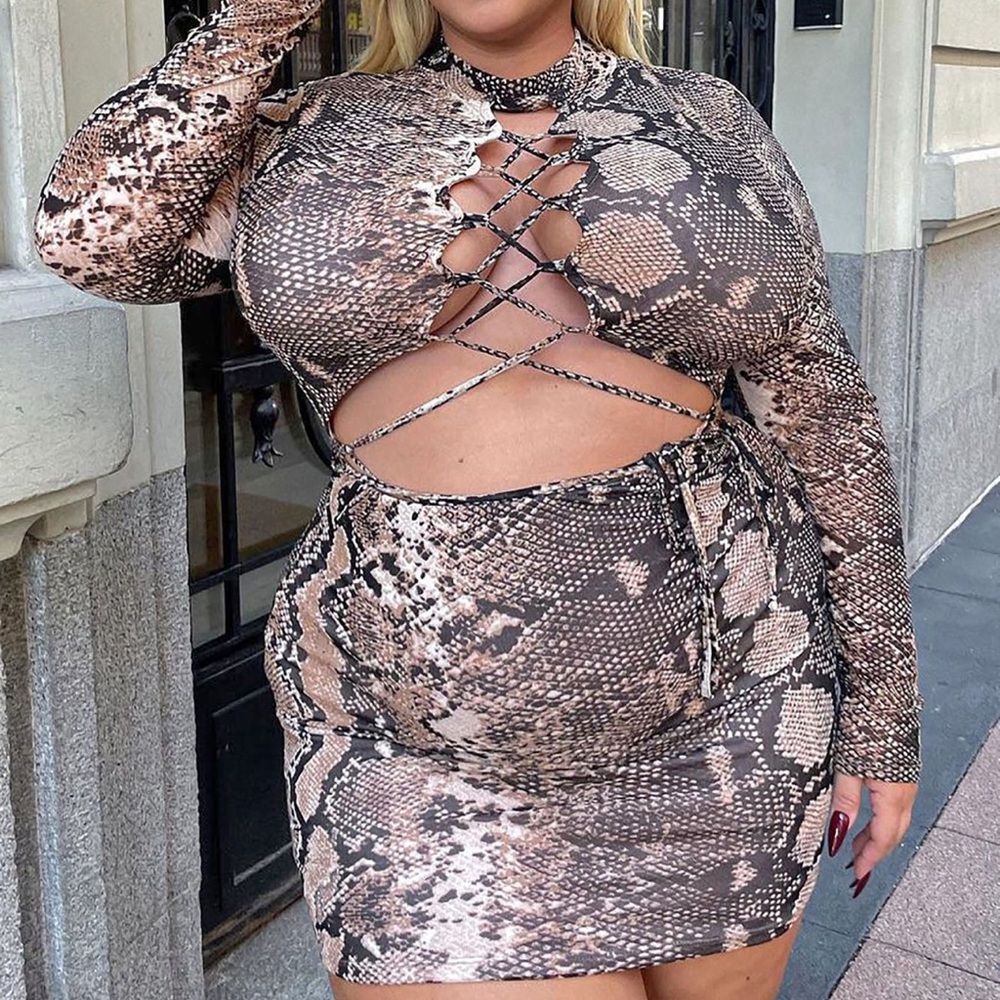 Fashion Nova Mesh Animal Print Dress - Picture 10 of 12